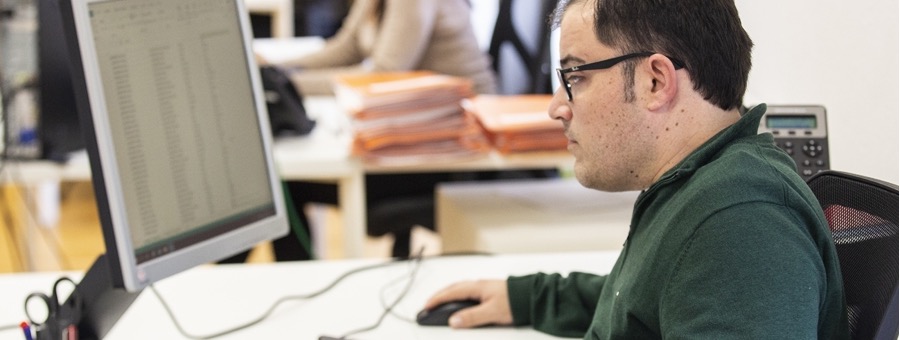 Ley Inclusion Laboral 21.015